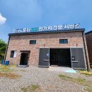 비텍스 이미지
