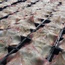 고찬농장 이미지