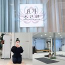 요가소르르 | 충주요가원 용포리단체요가 <요가 소르르> 다녀온 후기