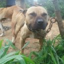 수기농장 이미지