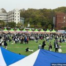 한국꼬똥켄넬 이미지
