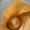 앨리스in동물병원 이미지