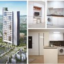 임대 J.S 이미지