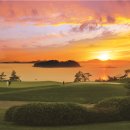 파인비치 이미지