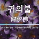 유림-1038 이미지