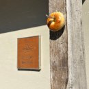 11215-자양1-136 | 로컬추천 베이글과 소금빵이 맛있는 <선유도역 "베이커리손유">