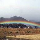 무지개빛사랑 이미지