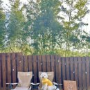 산아래스테이 이미지