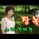 장녹수-가수 전미경 이미지