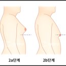 용비뇨기과의원 이미지