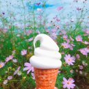 선진목장 이미지