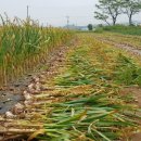 만재농장 이미지