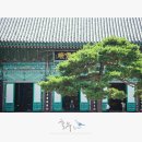 법인자연심 이미지
