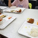 정보도서관 구내식당 | 분당 도서관 구내식당, 어린이 열람실, 정보 문헌실 지박령 후기