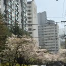 불암산 | 따끈따끈한 불암산 등산후기 (등산초보 4코스)