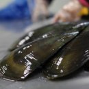 서해바다영어조합법인 이미지