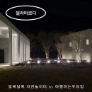 308 | 빌라마르디 단양 힐링 숙소 추천, 프라이빗 감성 가득한 곳 308호 후기