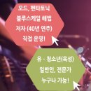 [인천] 초보자 악기, 화성학 배우기 / 중고급자 애드립 배우기 / 스터디 회원 모집 / 재즈& 블루스락, 모드& 펜타토닉스케일 애드립 수강생 모집!!! 이미지