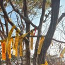 수산리-2 이미지