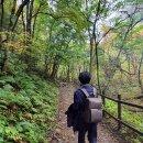 케이티 태백지점 이미지