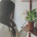 섬반지