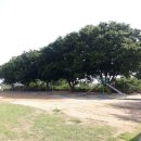 개정초교병설유치원 이미지