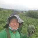 안말농장 이미지