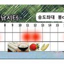 송전지 송도좌대