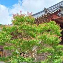 이재홍내과의원 이미지