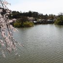 영산 연지 이미지