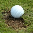 그린로프트 이미지