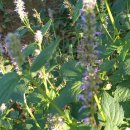 아성 골프연습장 이미지