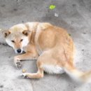 햇살마루농장