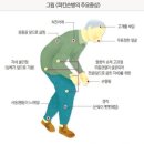 걷기지도사(주간) 이미지