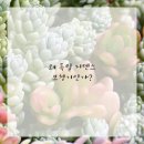 독일시그니아보청기 이미지