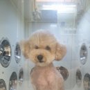 어서왈왈 이미지