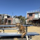 서귀포시장애인회관 (2대) | 제주 여행 코스 1일차 :: 서귀포 소품샵 투어 + 나홀로나무 포토존, 고등어회 맛집