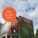 이화마을 작은도서관 | 이화마을작은도서관 가을풍경(2025.10)