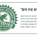 탑아로마 이미지