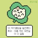 STAY 노을담 | 개강했는데 스카랑 더 친해요 a.k.a 뱅첼라