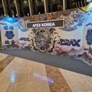 AFEX 알파 챔피언십 프로전 직관후기