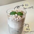밀담소