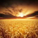 영화가 주는 치유의 힘 이미지