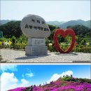 26.5.16. 전북 남원 지리산 바래봉(1,186m)철쭉 / 남원 광한루원 탐방 이미지