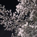 CU남창대안리점 | 4월 일기가 왔어요