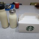 참편한세상