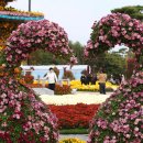 국향한우 이미지