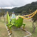 호기리 마을진입로 19 | 2025 성주가야산 황금들녘 메뚜기축제🦗 아기랑 방문 후기 / 주차, 준비물, 체험프로그램