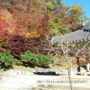 속리산송림펜션 이미지