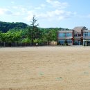 봉양중학교 이미지